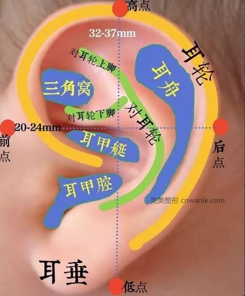 耳廓再造手术原则有哪些？