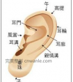 【面相说】丰耳垂可以提升运势?