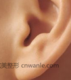 玻尿酸丰耳垂的价格贵不? (2)