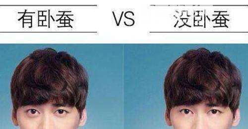 卧蚕的作用是什么 卧蚕怎么快速练出来