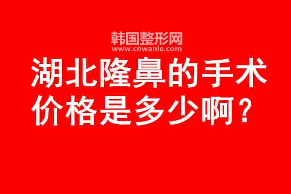 湖北<a href='/tag_longbi149.html'>隆鼻</a>的手术价格是多少啊?