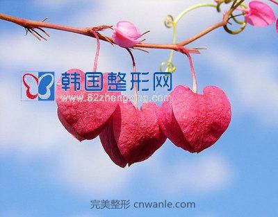 口角成型，美丽口角