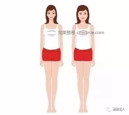 脂肪
