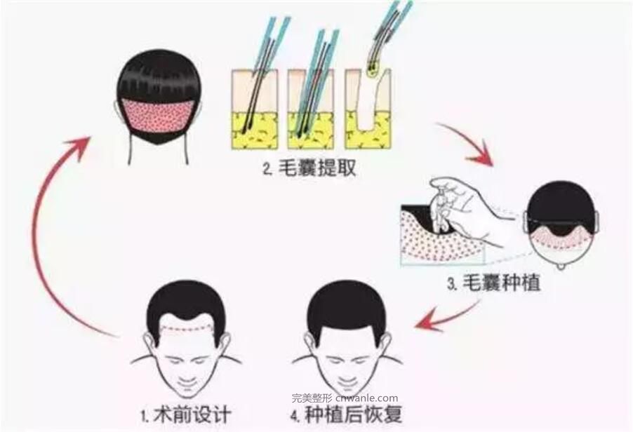 1569385691240432.jpg 9.jpg