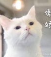 鼻尖整形,是个什么手术?