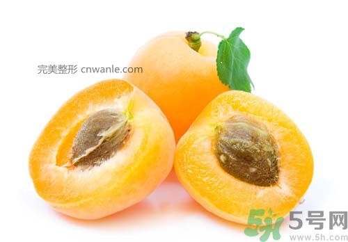 春天吃枇杷可以减肥吗？吃枇杷减肥怎么样？