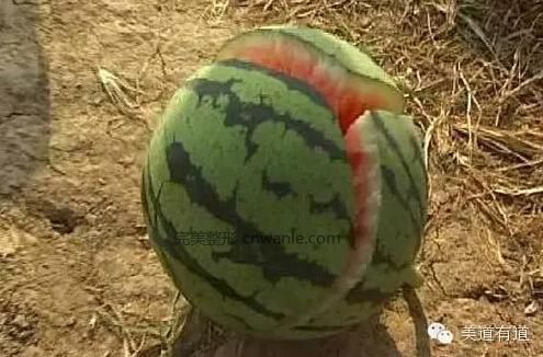 点击图片查看幻灯模式