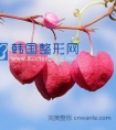 口角成型,美丽口角