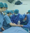 全省首例高分子材料耳廓再造手术成功实施|耳廓|手术