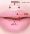 没有唇珠,你跟我谈什么性感?
