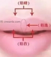 没有唇珠你跟我谈什么性感~