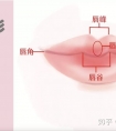 想提升气质最该做的是:改善唇型