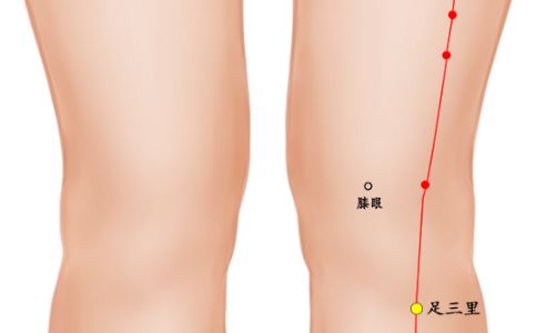 中医敲打什么穴位能祛斑 女性美容养颜喝什么粥 哪些穴位可以祛斑